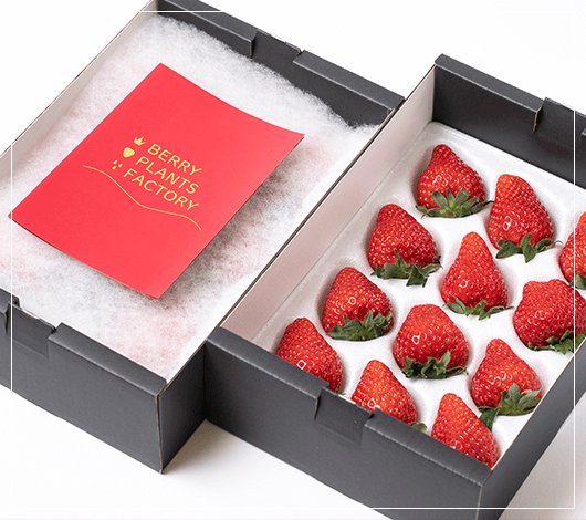 送付の際の箱にもこだわる